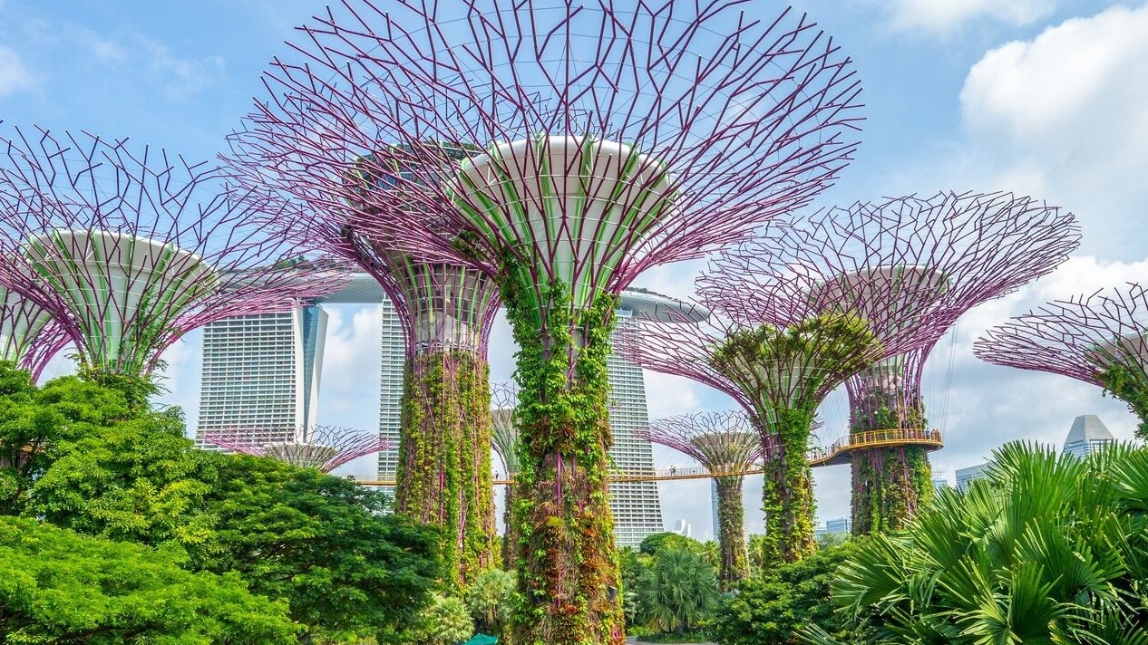 ASPX: Học bổng Singapore